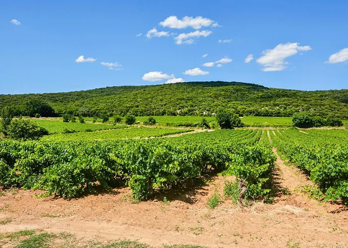 Pet Friendly In Uzes Casa de Férias Baron (Gard)