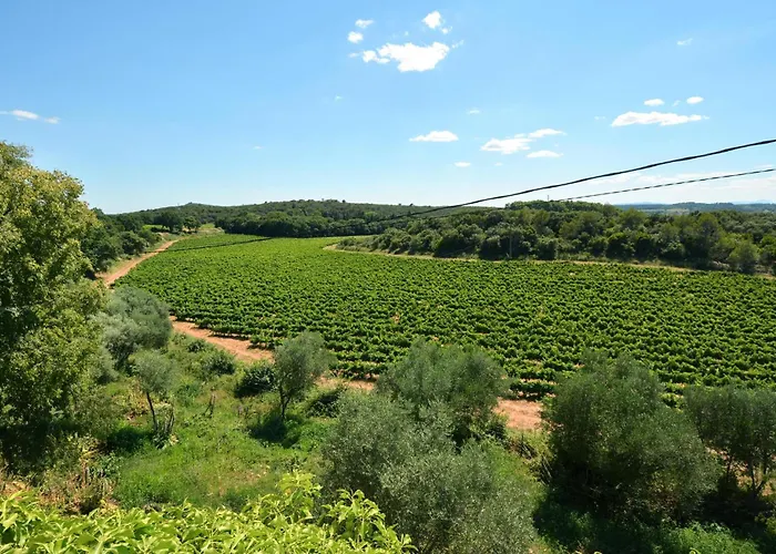 Pet Friendly In Uzes Casa de Férias Baron (Gard)